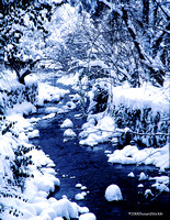 SnowfallMemPk12.30.2000.jpg